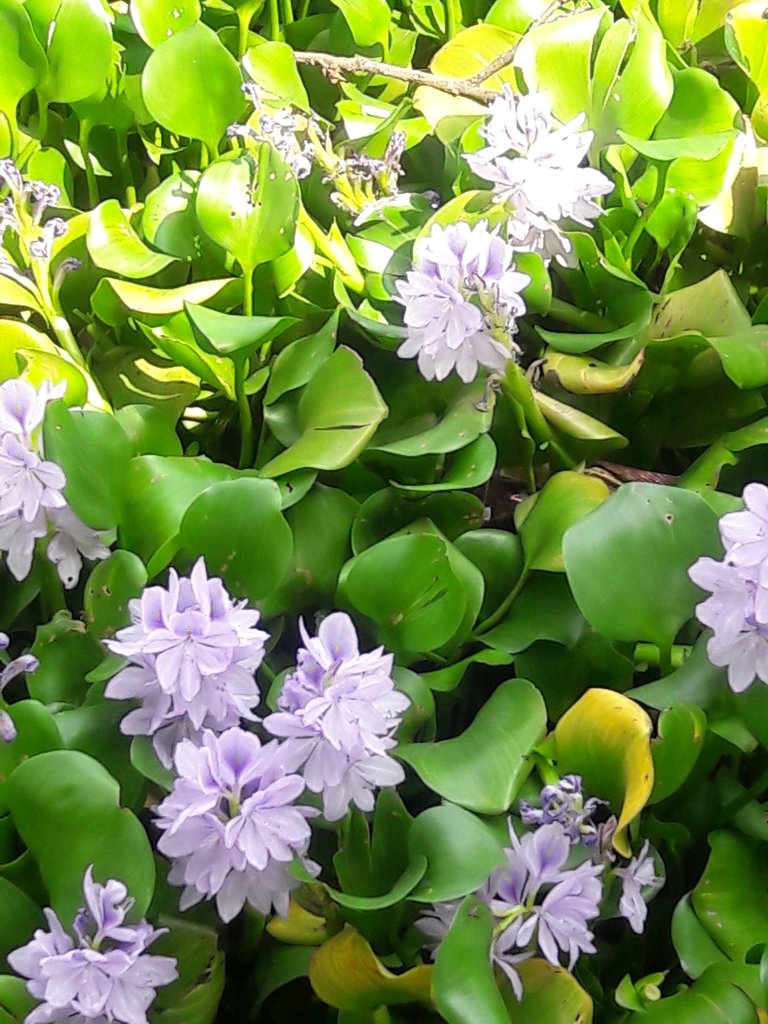 20180625_100029.jpg