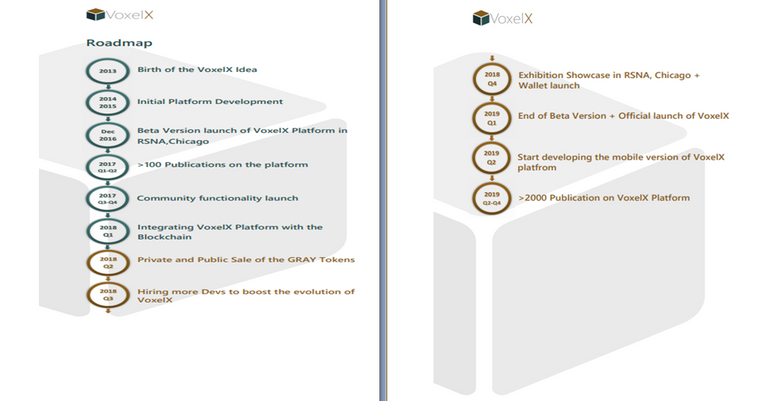 voxel roadmap.png