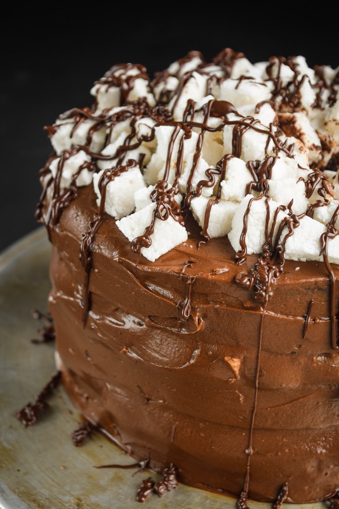 Rich and Dark Hot Cocoa Triple Layer Cake (Vegan)-7.jpg