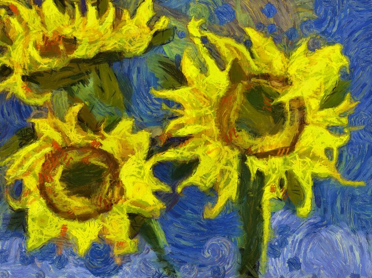 sunflowers ed_DAP_VincentHD.jpg