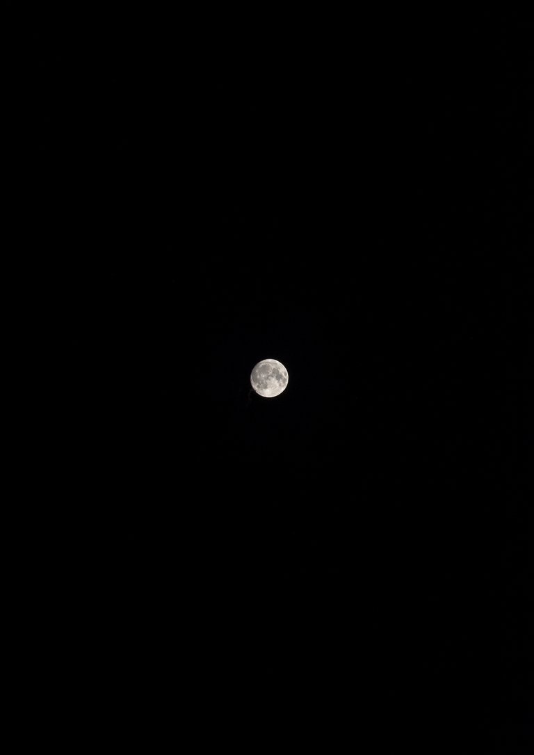 moon11.jpg