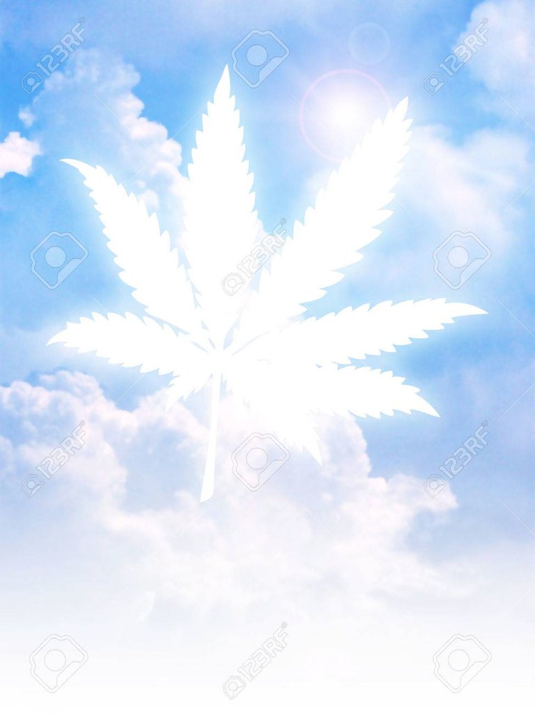 35111080-illustration-of-marijuana-cannabis-or-hemp-leaf-on-clouds.jpg