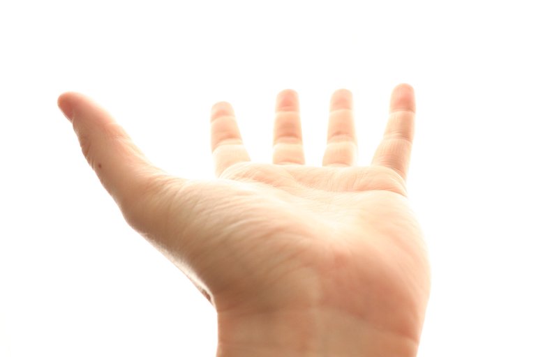 hand 2.jpg