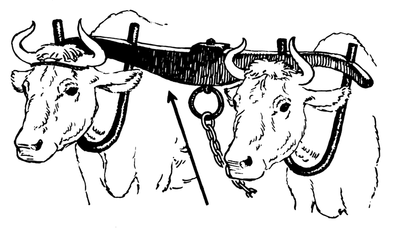 OX YOKE TWO.png