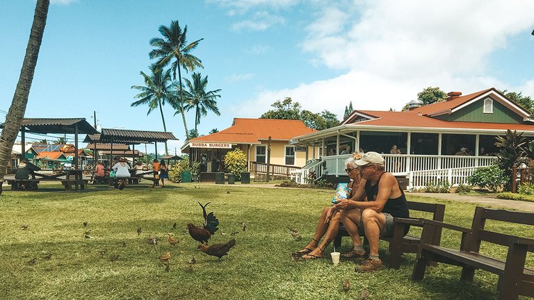 Roosters-Kauai.jpg