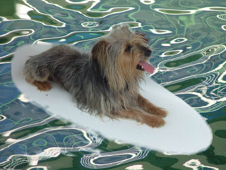 Foster Aqua Yoga.jpg