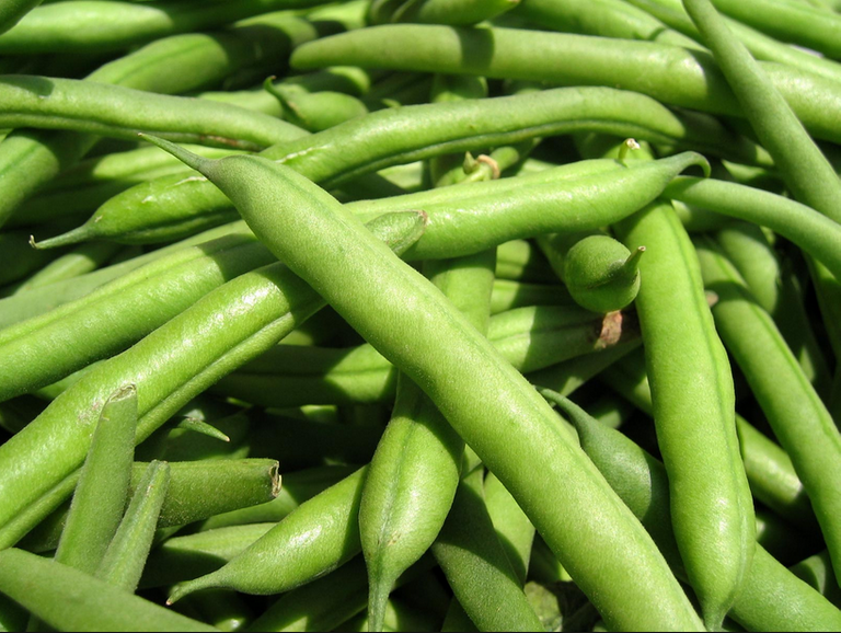 Green Beans.png