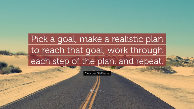 819519-Georges-St-Pierre-Quote-Pick-a-goal-make-a-realistic-plan-to-reach.jpg