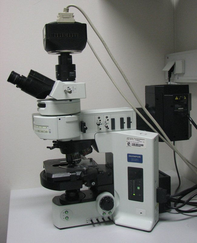 Olympus-BX61-fluorescence_microscope.jpg