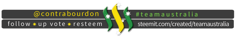 TeamAustralia Slim Banner