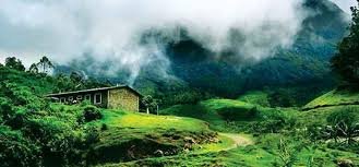 Munnar-2.jpg