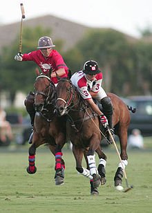 220px-PoLO.jpg