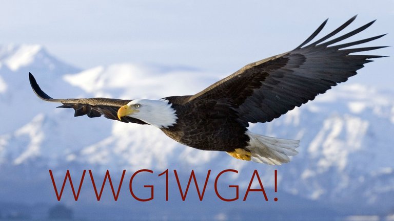 WWG1WGA.jpg