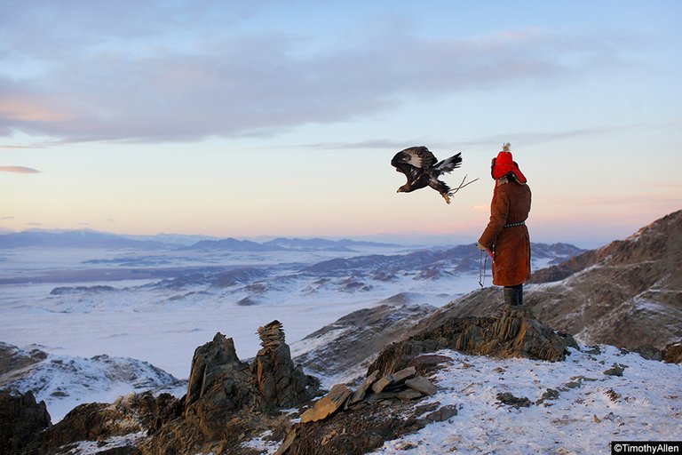 Mongolia-eagles-10258.jpg