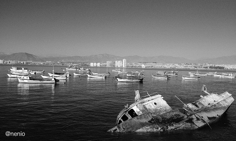 coquimbo-caleta-01-bw.jpg