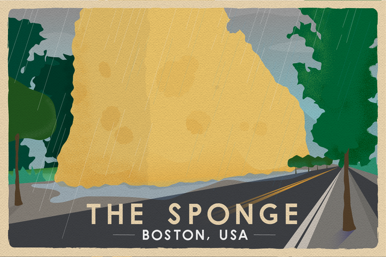 sponge_postcard.png