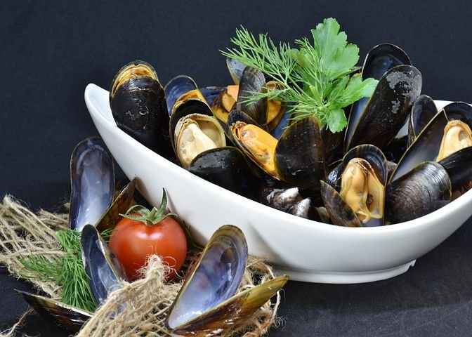 mussels-3148413__480.jpg