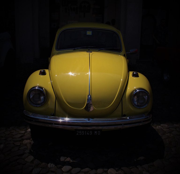 Beetle1.jpg