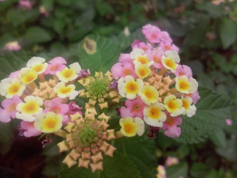 20180630_115526.jpg