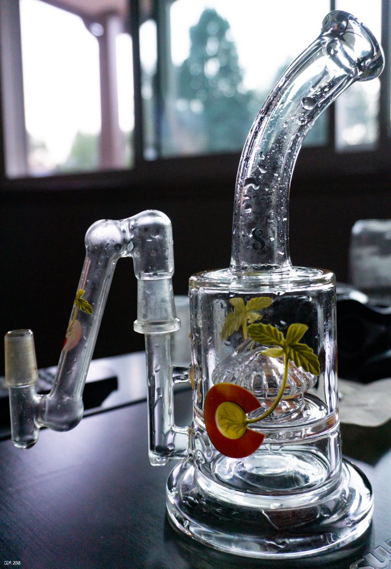 Dab rig side profile full with drop down.jpg