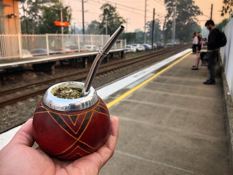 Yerba Mate at Narara station