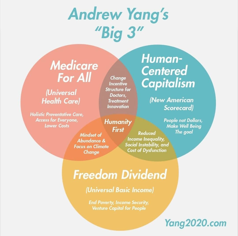 yanginfographic.png