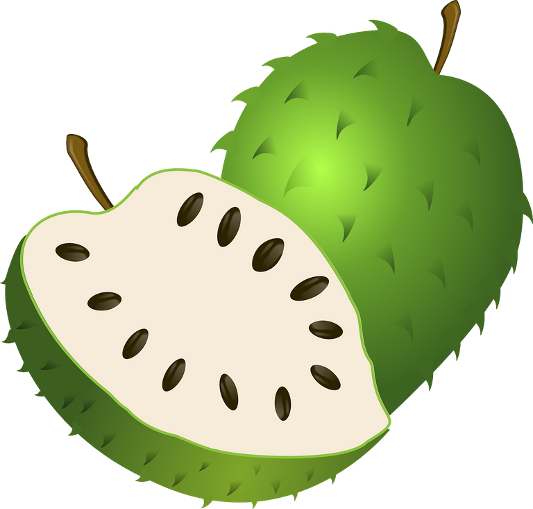 guanabana-155351_1280.png