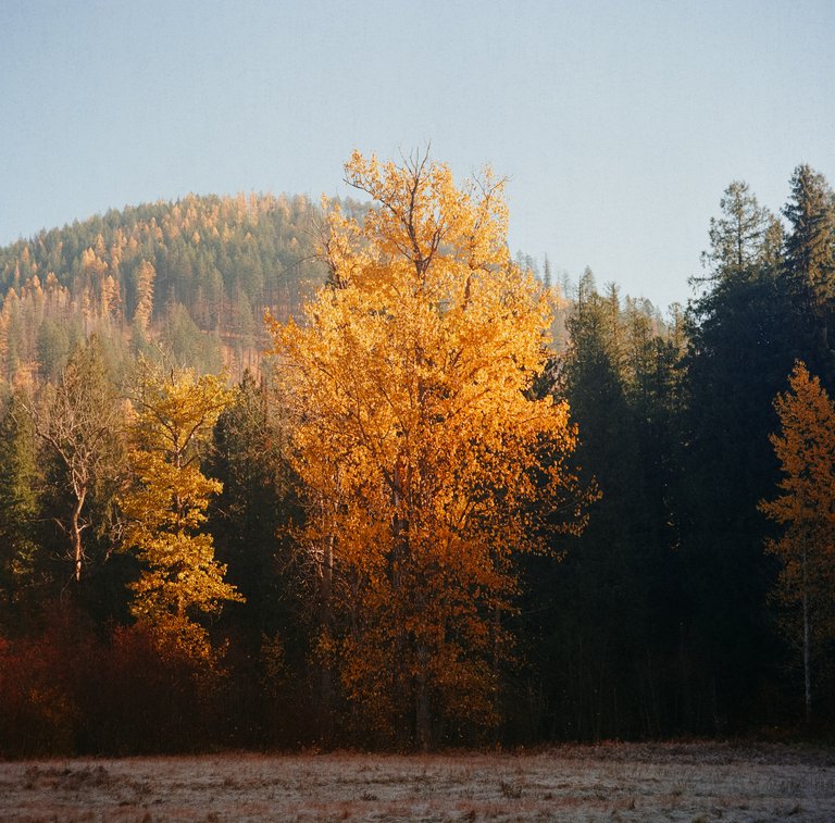 Ektar100-000018910006.jpg