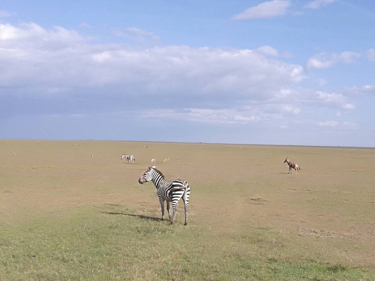 Maasai National Reserve12.jpg