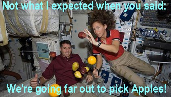 space_picking_fruit.jpg