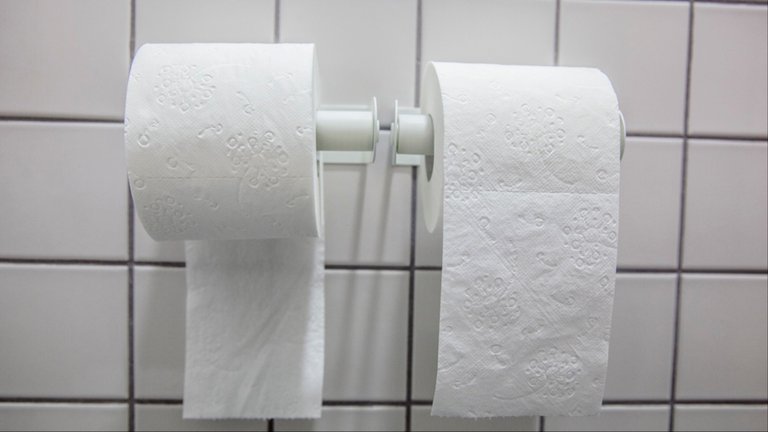 spielt-es-eine-rolle-wie-herum-das-toilettenpapier-haengt-1466079929.jpg