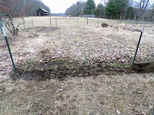 Big garden - 2nd section fence cleared crop February 2020.jpg