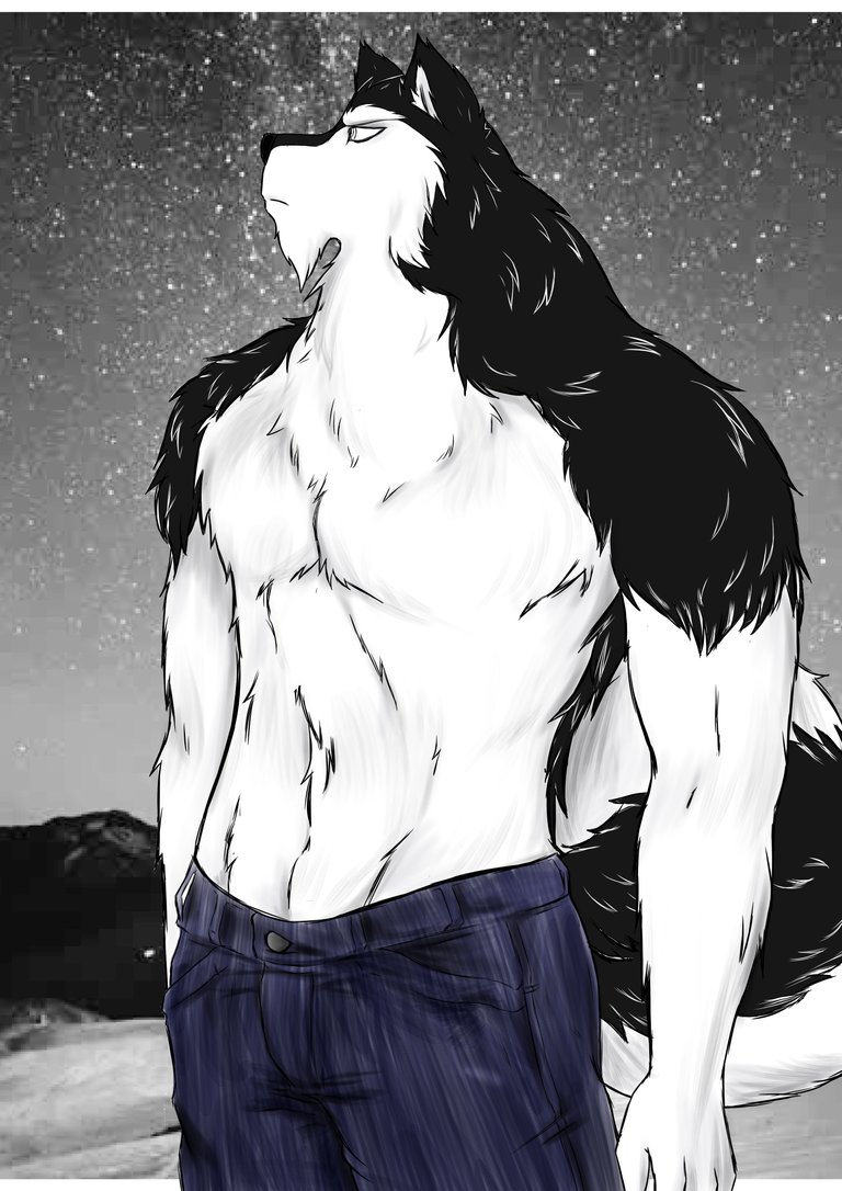 husky con pantalones.jpg