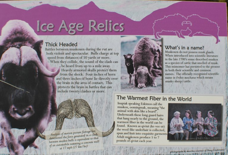 383 ice age relic sign.jpg