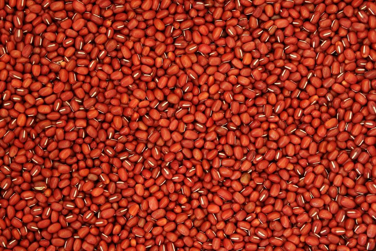 red-bean-1074078_1280.jpg