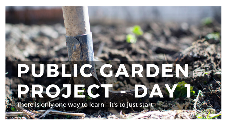 Public Garden Project - Day 1 (1).png
