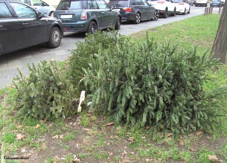 Weihnachtsbaum_11.jpg