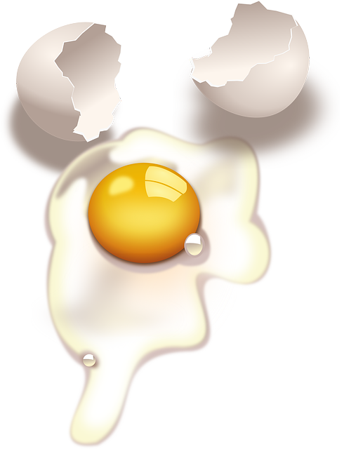 egg-32115_640.png