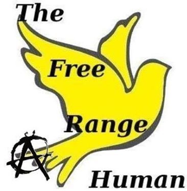 free range2.jpg