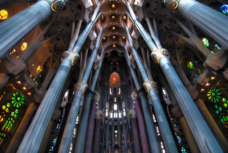 SpiderSagrada-2.jpg