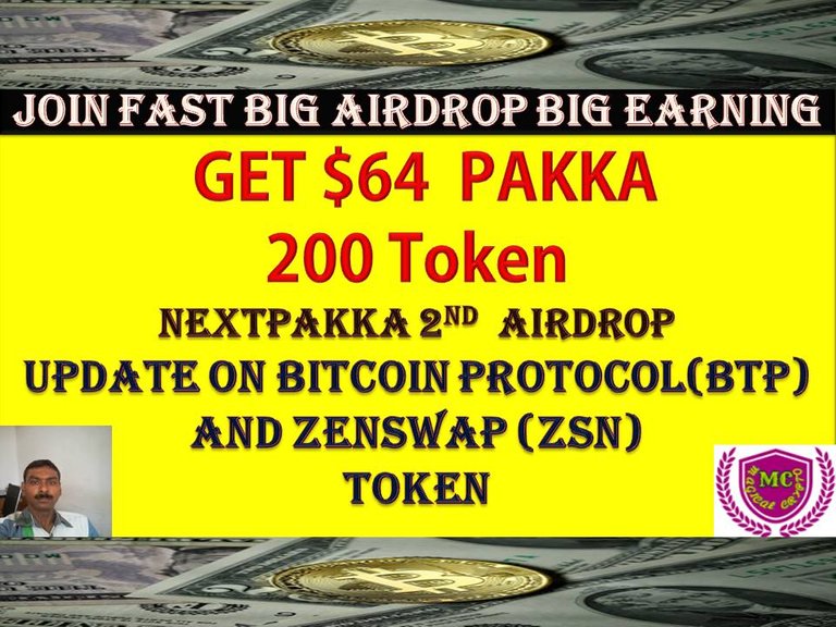 Pakka Token.jpg