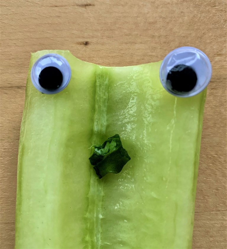 Googlyeyes - cucumber man.jpeg