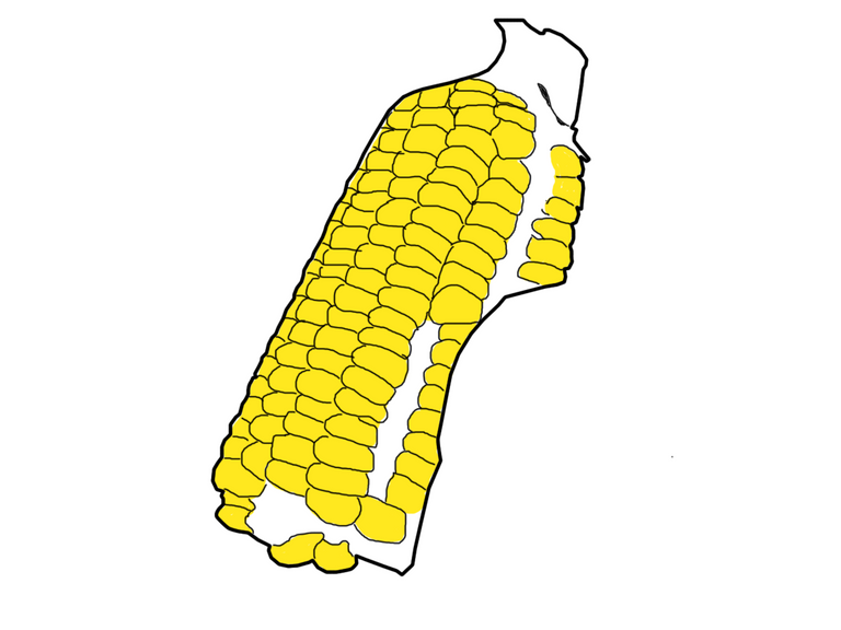 corn2.png