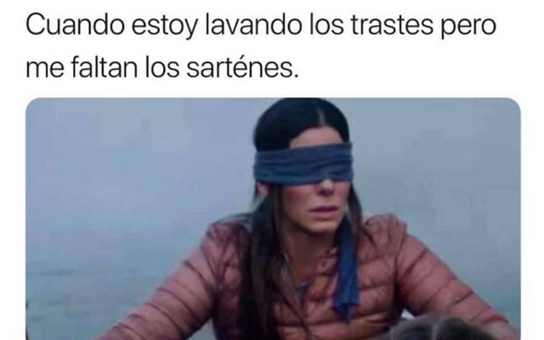 meme-birdbox.jpg