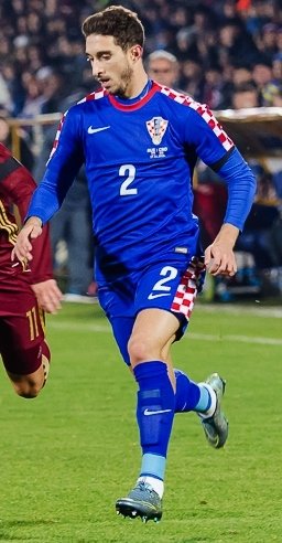 Šime_Vrsaljko_2015.jpg