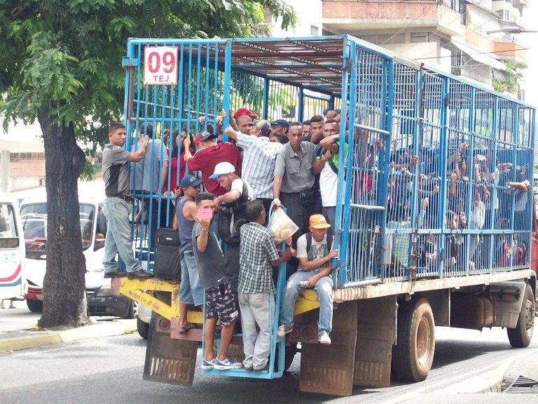 LAS-PERRERAS-EN-VENEZUELA.jpg