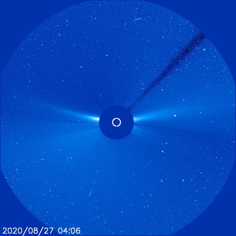 202008271021 comet SOho Kreutzer.jpg