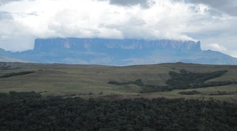 roraima-tepuy-800x445.jpg