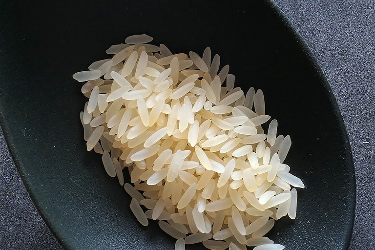 rice-2294365_960_720.jpg