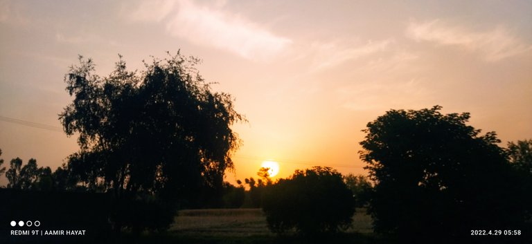 IMG_20220429_055802.jpg